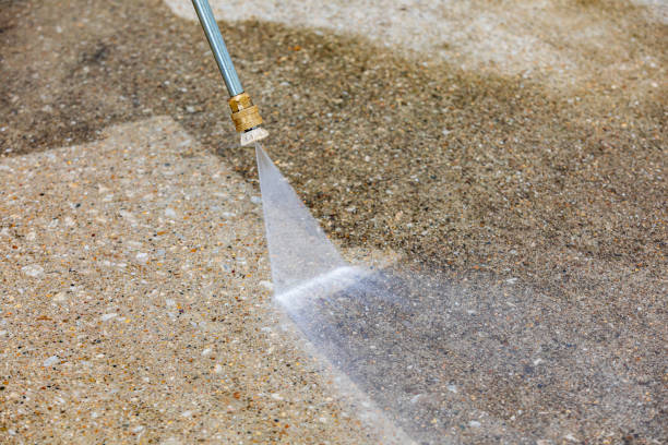 Best Sidewalk and Walkway Cleaning  in Dickinson, TX