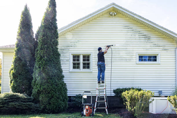 Best Patio and Deck Pressure Washing  in Dickinson, TX